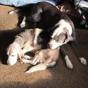 Meet your Posher, Kathy